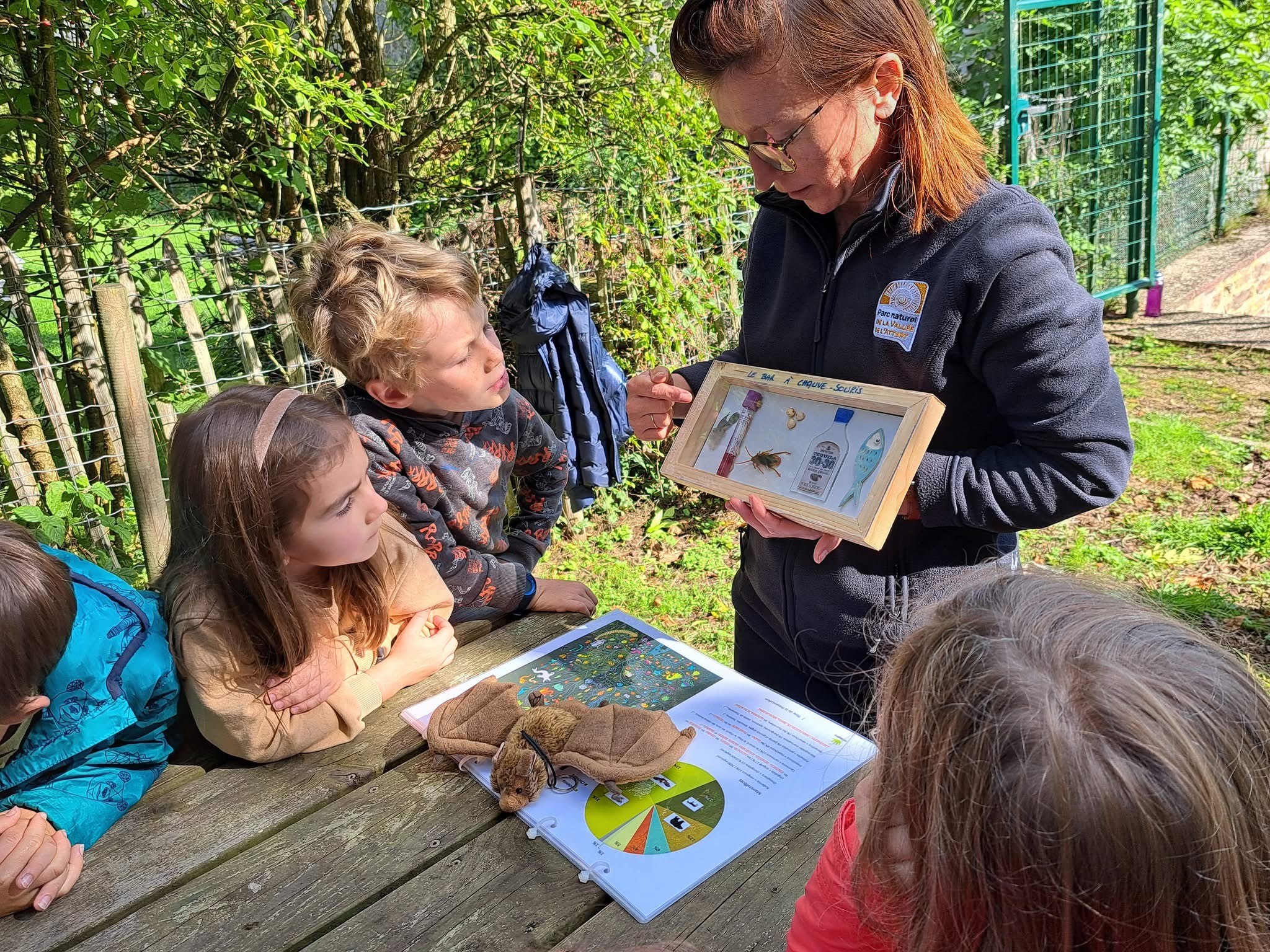 An eye-catching landscape of green.